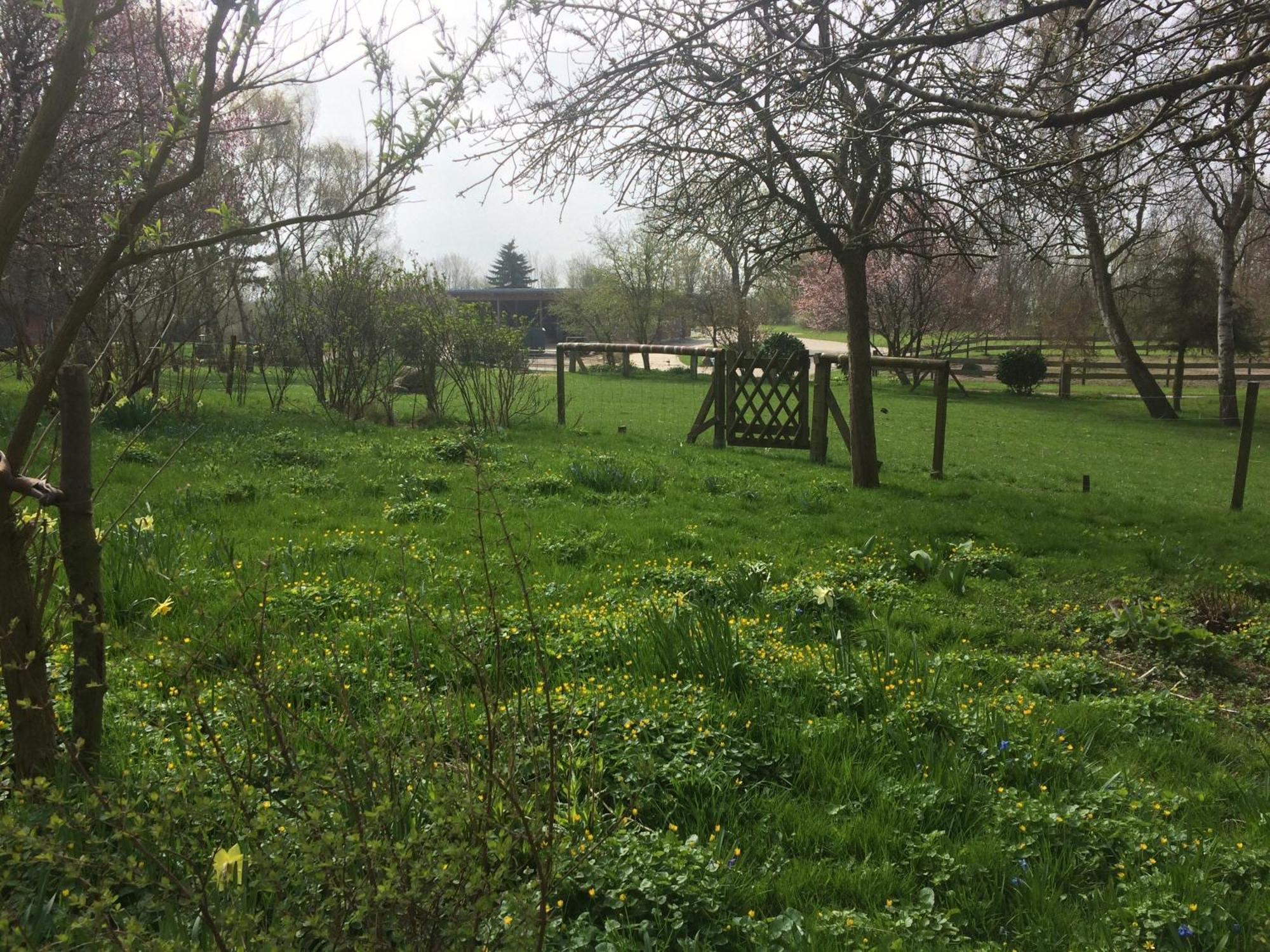 Beltblick Lägenhet Fehmarn Exteriör bild